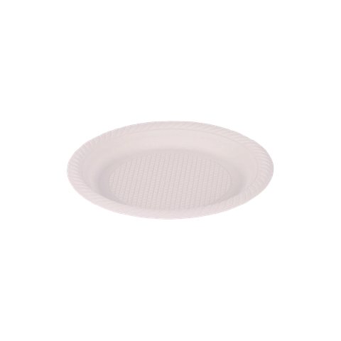 Plato 6