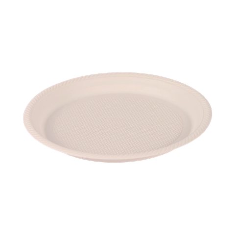 Plato 10